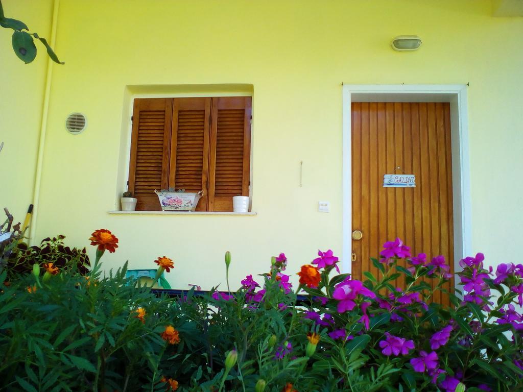Galini Mytikas (Epirus)